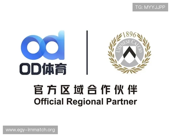 OD体育真人平台最新功能介绍及其在提升用户体验方面的创新措施
